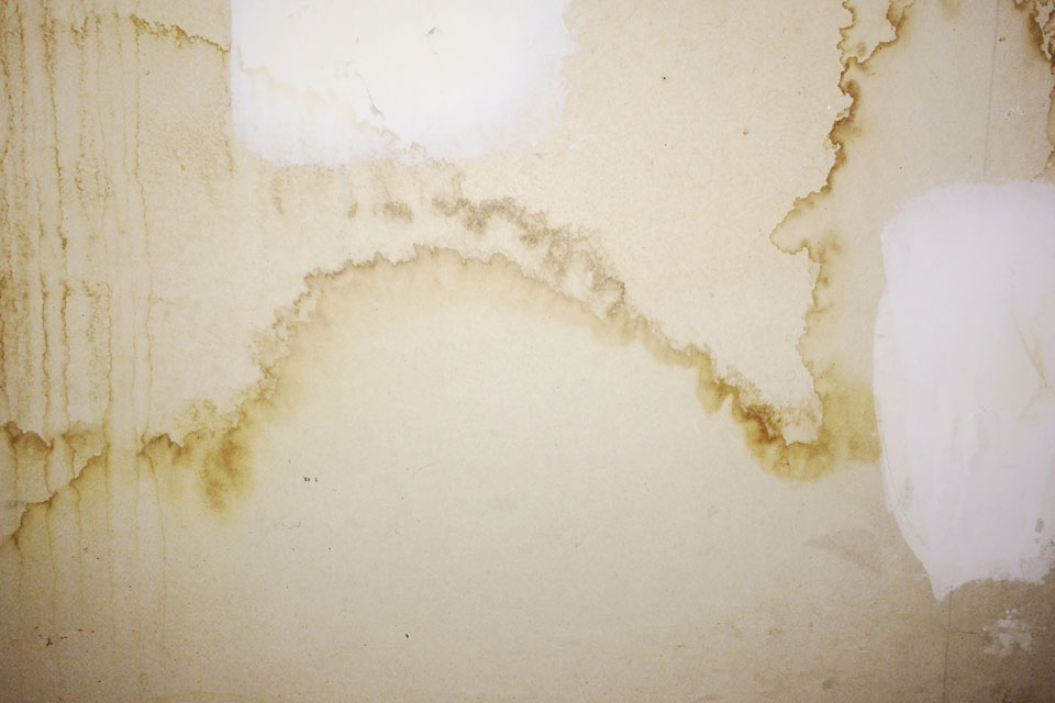 RID Damp Proofing Woodworm